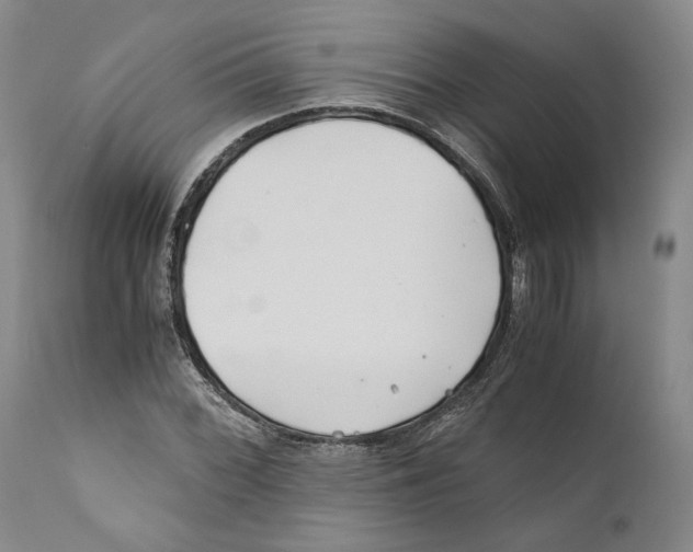 X0000110771068200907131228