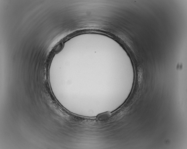 X0000110771069200907131228