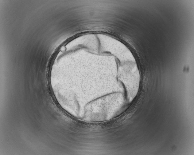 X0000110771071200907131228