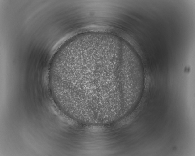 X0000110771074200907131228