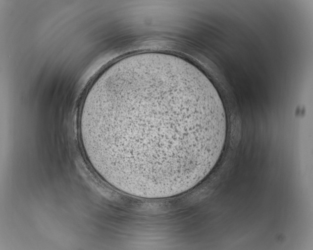 X0000110771078200907131228