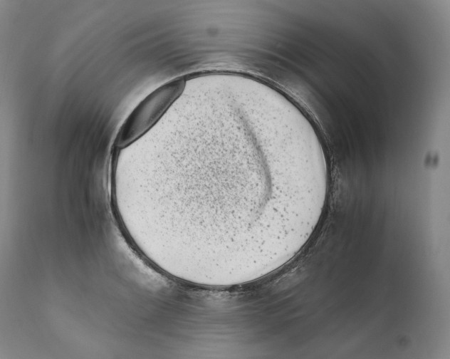 X0000110771084200907131228