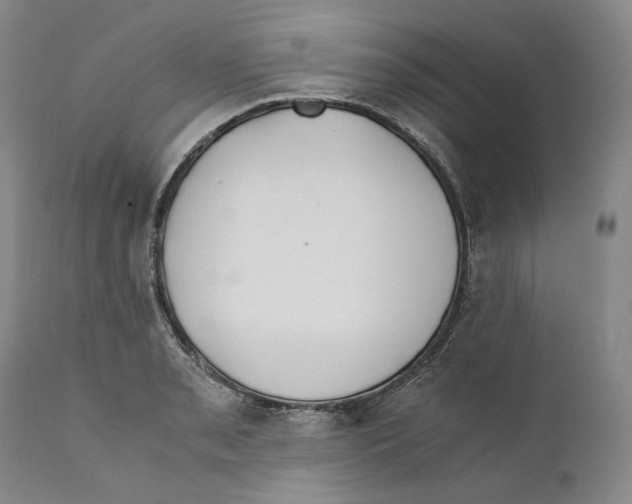 X0000110771085200907131228