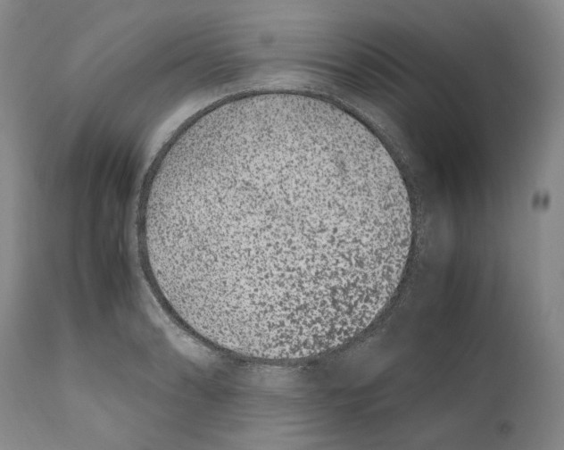 X0000110771086200907131228