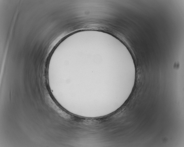 X0000110771091200907131228