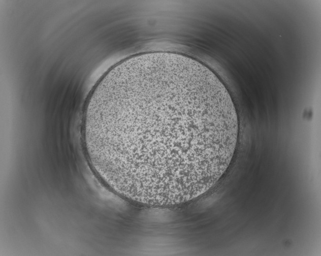 X0000110771094200907131228