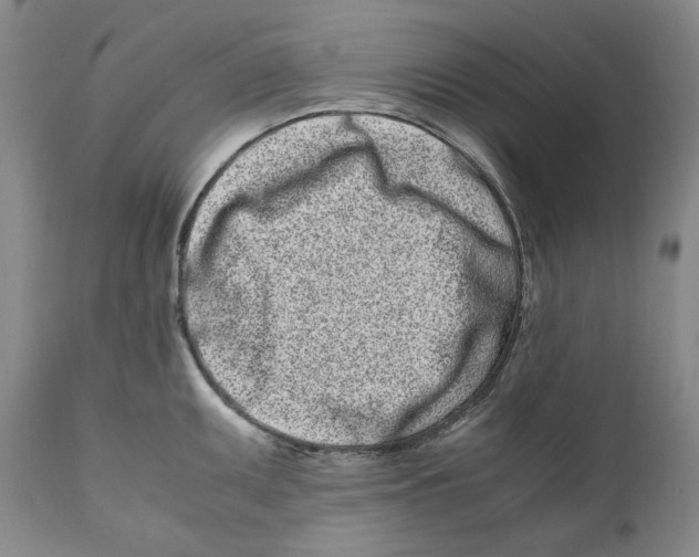 X0000110771095200907131228