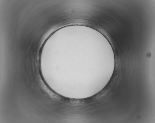 X0000110771099200907131228