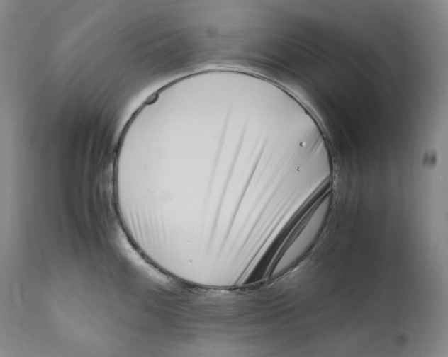 X0000110771100200907131228