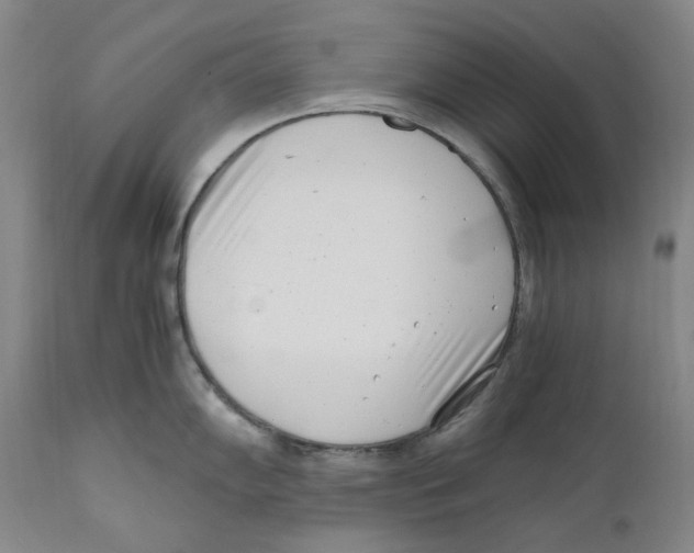 X0000110771102200907131228