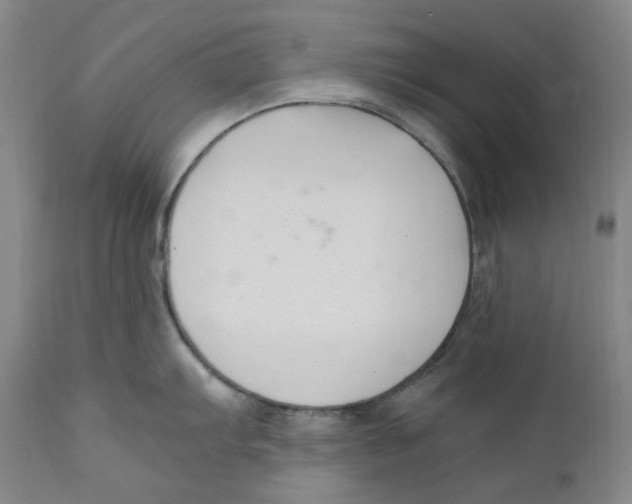 X0000110771103200907131228