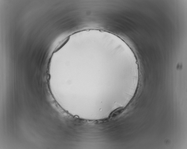 X0000110771104200907131228