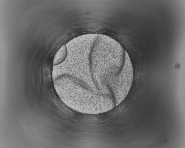 X0000110771106200907131227