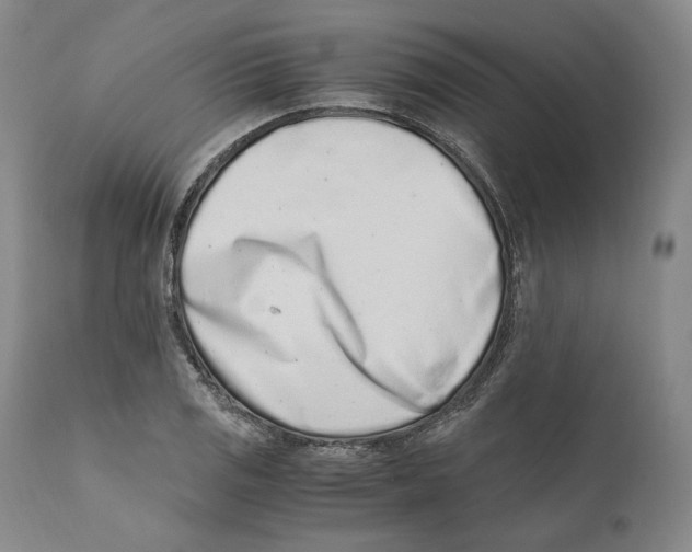 X0000110771125200907131227