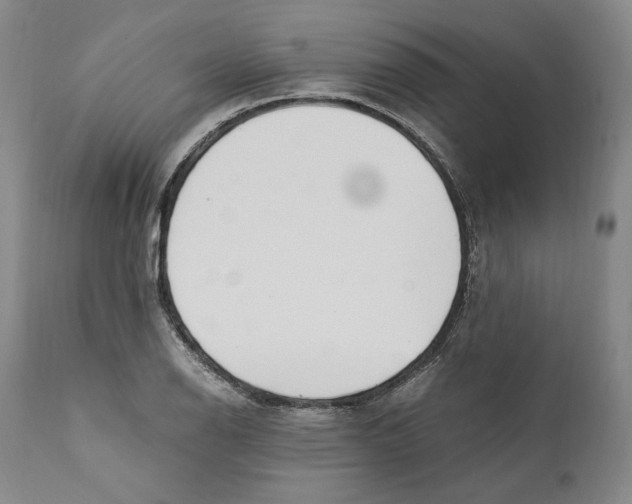 X0000110771126200907131227