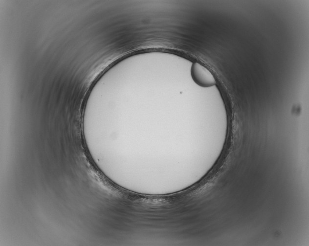 X0000110771129200907131227