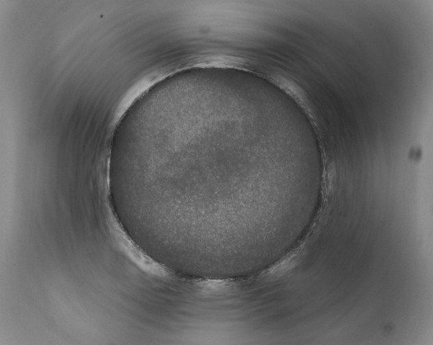 X0000110771130200907131227