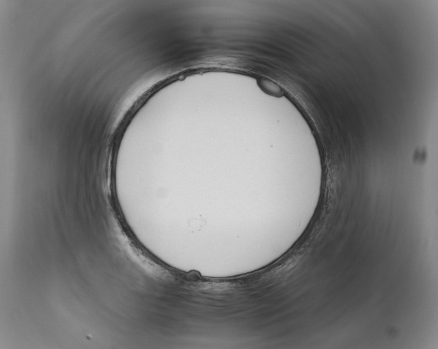 X0000110771131200907131227