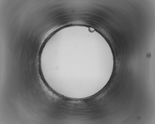 X0000110771133200907131227