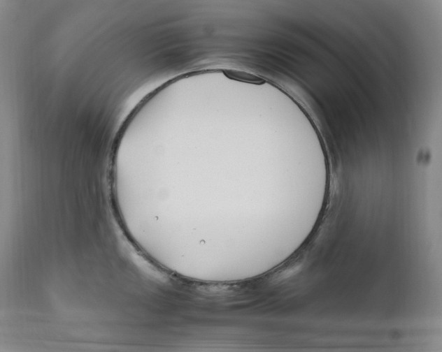 X0000110771149200907131228