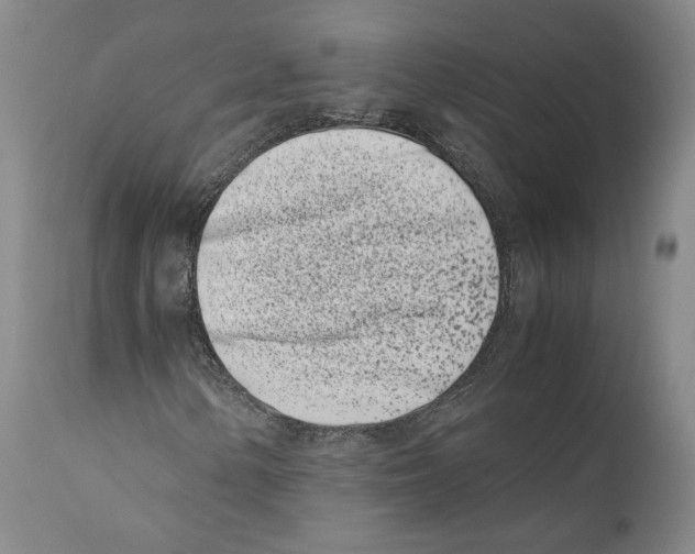 X0000110771154200907131227