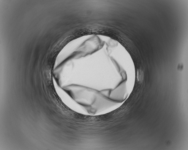 X0000110771155200907131227