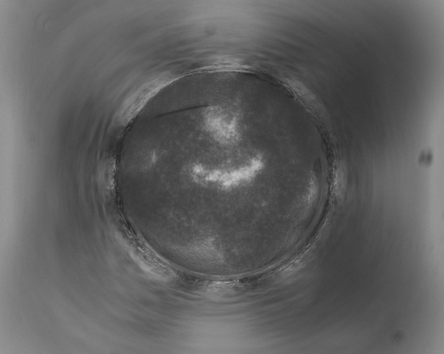 X0000110771161200907131227