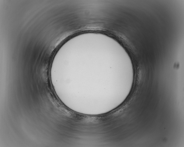 X0000110771162200907131227