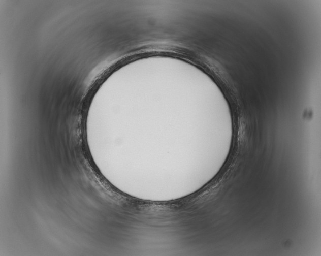 X0000110771164200907131227