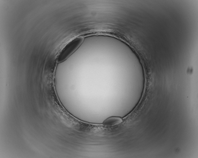 X0000110771169200907131227