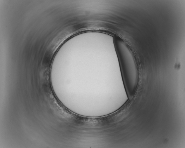 X0000110771177200907131227