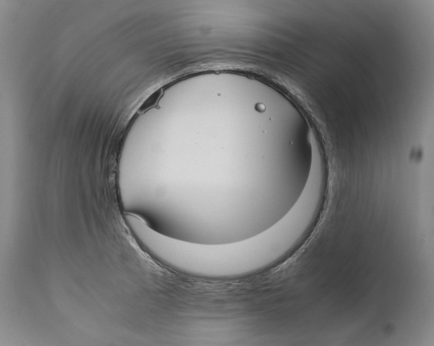 X0000110771185200907131227