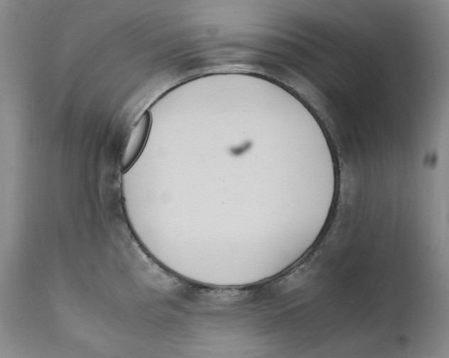 X0000110771193200907131226