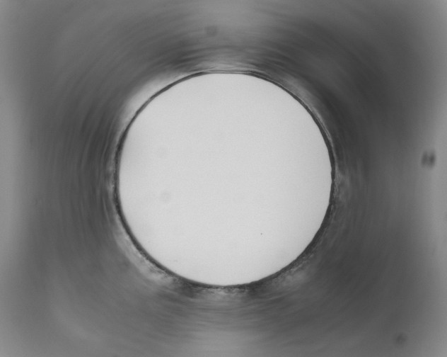 X0000110771195200907131226