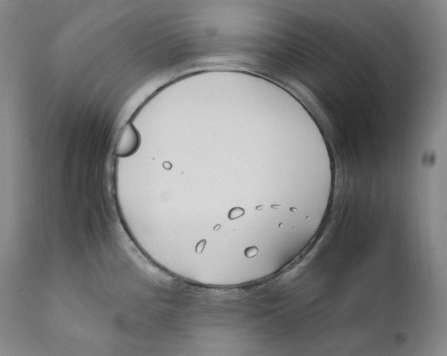 X0000110771196200907131226