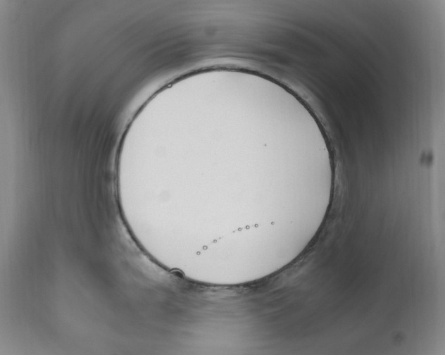 X0000110771199200907131226