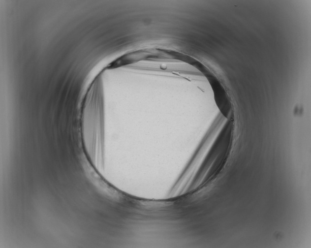 X0000110771200200907131226