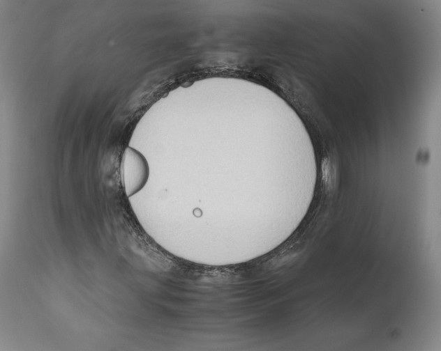 X0000110771203200907131225