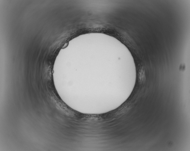 X0000110771204200907131225