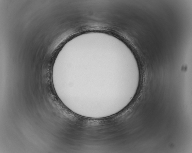 X0000110771211200907131225