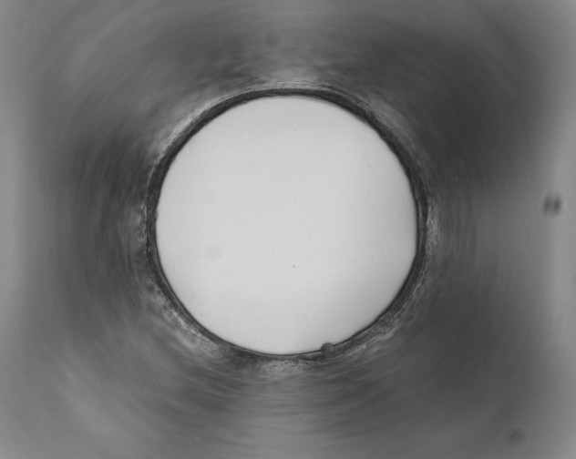 X0000110771212200907131225