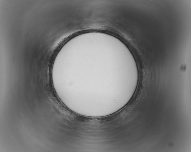 X0000110771214200907131226