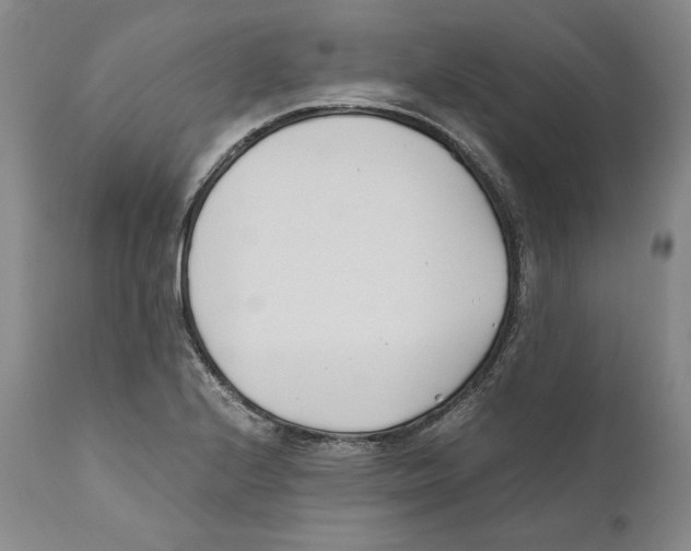 X0000110771224200907131226