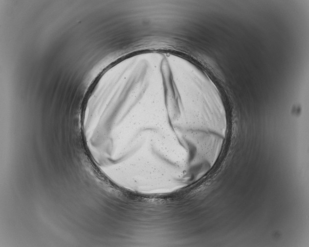 X0000110771226200907131226