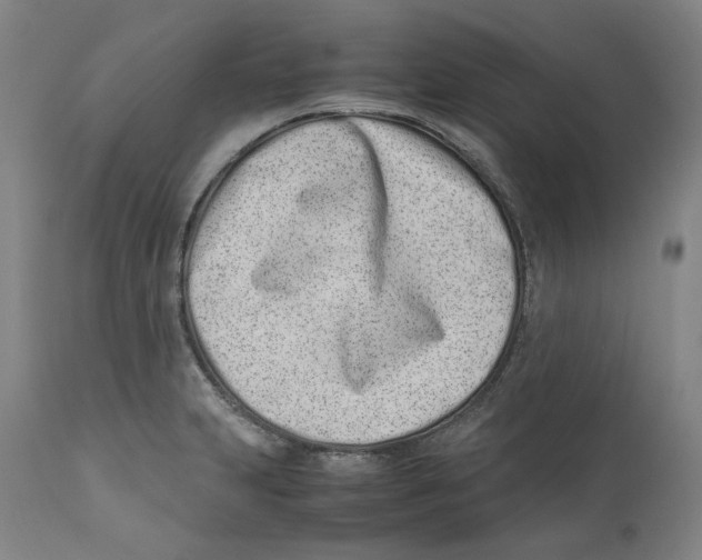 X0000110771231200907131226