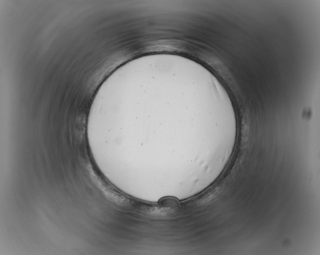 X0000110771233200907131226