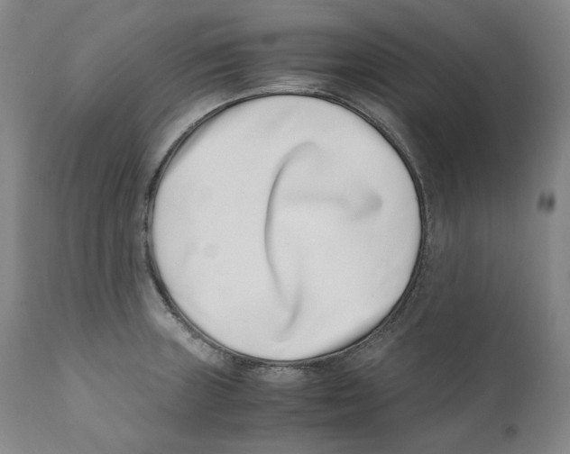 X0000110771235200907131226