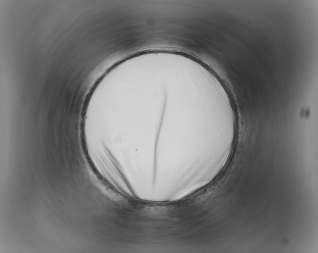 X0000110771237200907131226