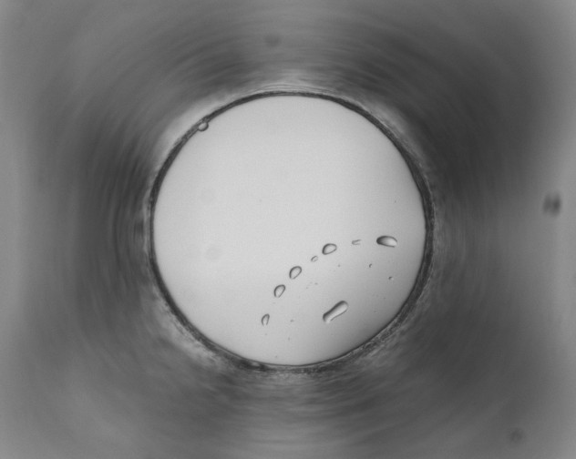 X0000110771238200907131226