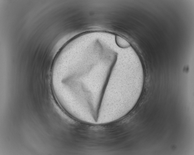 X0000110771239200907131226